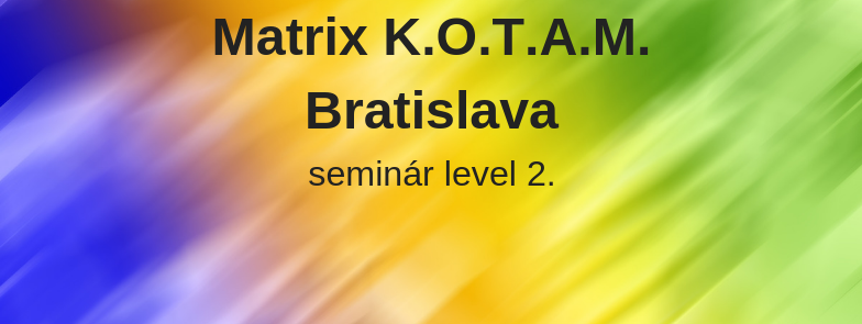 level 2 - Matrix K.O.T.A.M., Bratislava