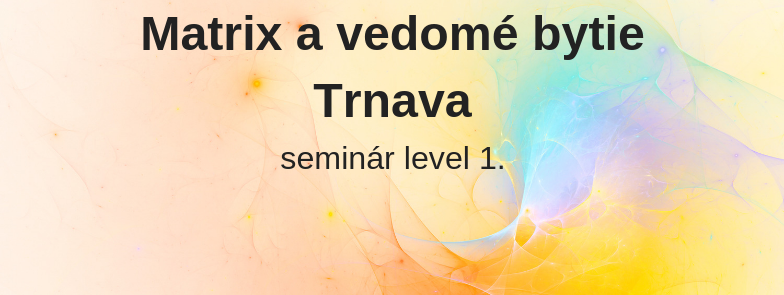 level 1 - Matrix a vedomé bytie, Trnava